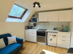 Appartement duplex 4 pers à 50m des télécabines, parking privatif - FR-1-234-307
